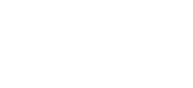 Pacific Synergy Group